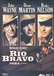 赤胆屠龙,传奇剑客的复仇之路